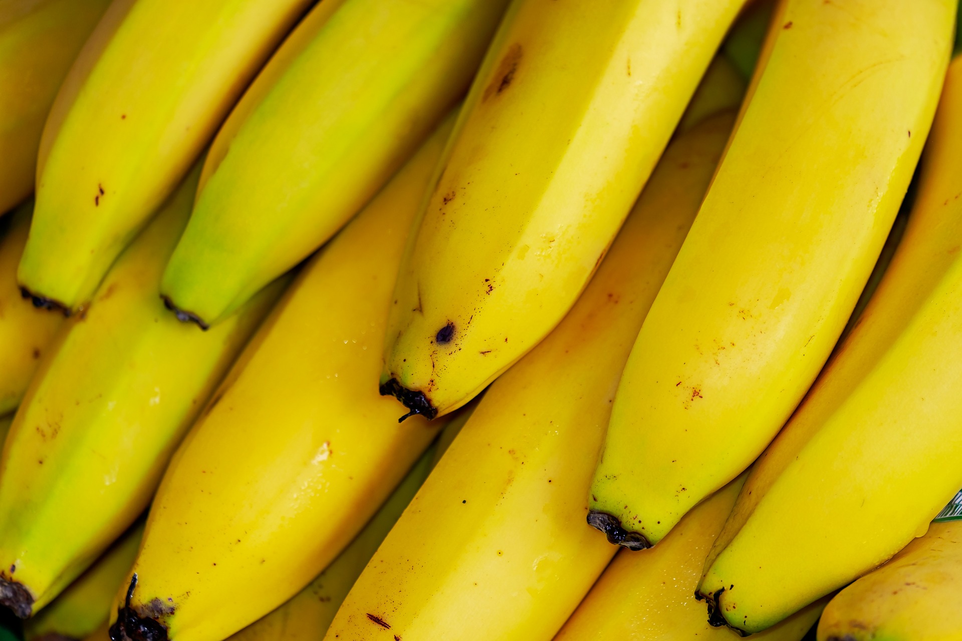 A pile of bananas; our banana allergy compensation solicitors can assist you with making a compensation claim.  Click this picture to read more about banana allergy compensation claims.