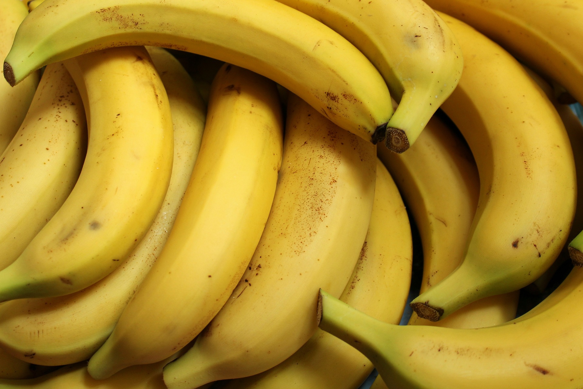 A pile of bananas; our banana allergy compensation solicitors can assist you with making a compensation claim.  Click this picture to read more about banana allergy compensation claims.