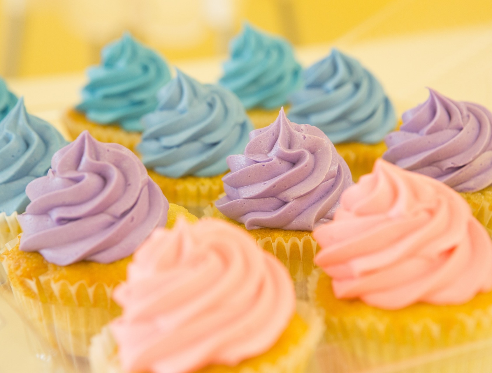 A selection of cupcakes, with pink, purple and blue frosting.  Our No Win No Fee Solicitors deal with gluten allergy compensation claims due to undisclosed gluten in cakes.