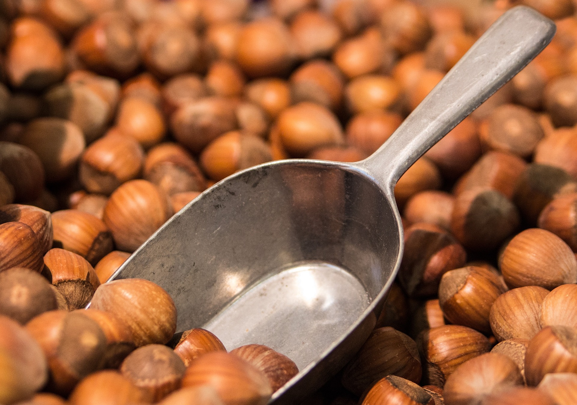 A pile of hazelnuts, with a scoop; our No Win No Fee Solicitors discuss nut allergies and how we can help make a claim.