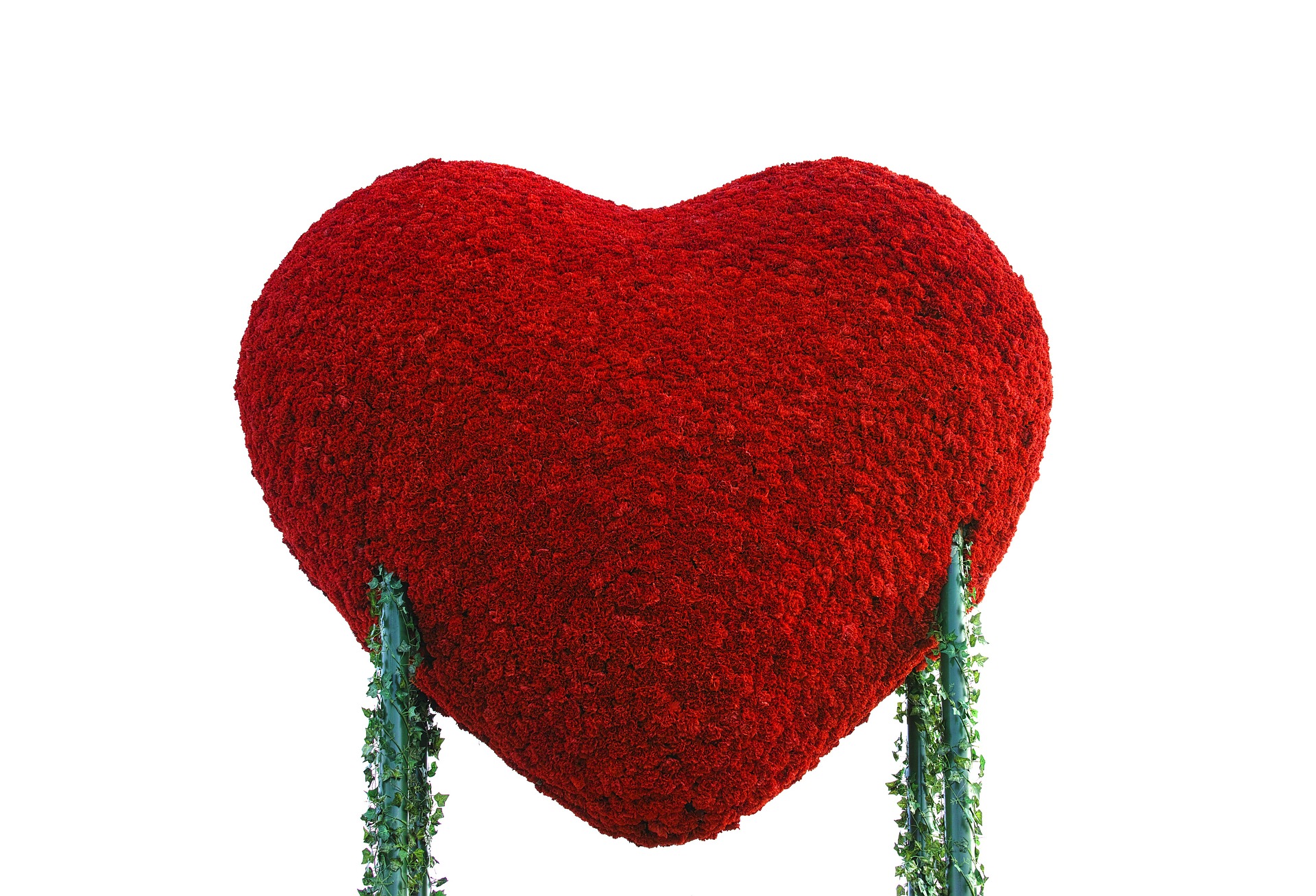A heart on vines; our Lasting Power of Attorney solicitors discuss end of life decisions.