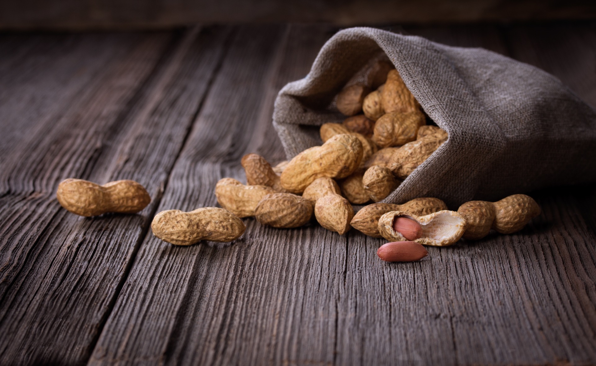 A sack of peanuts, spilling out onto the table; our No Win No Fee Solicitors discuss Nut Allergy Compensation claims and whether you can grow out of a nut allergy.