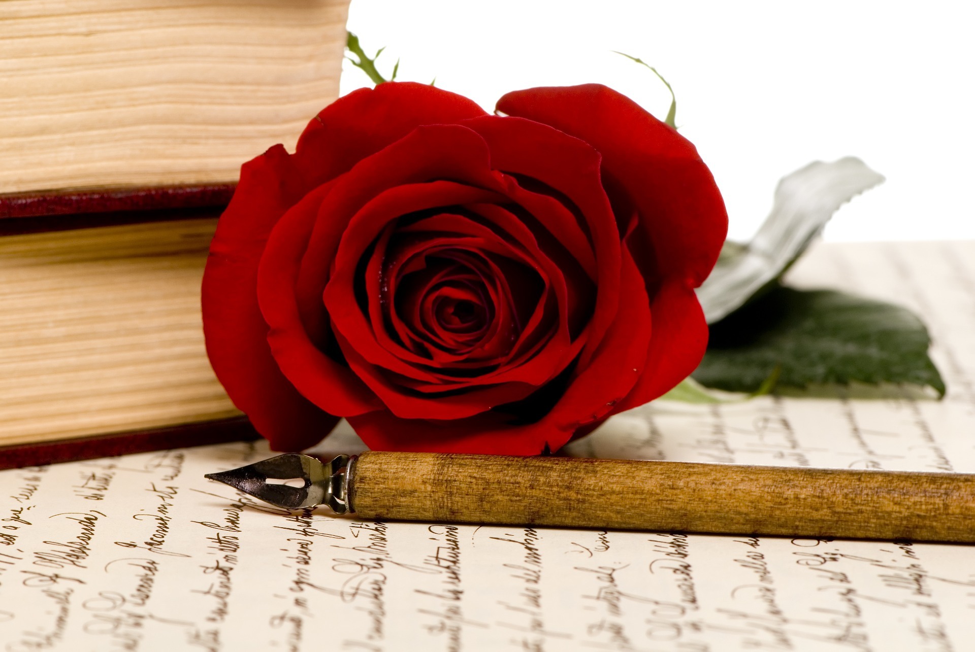 A red rose, resting next to two books, on top of a Will with a pen