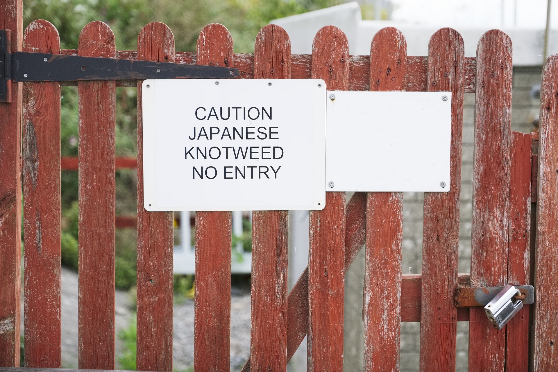 Wooden Gate with a sign stating 'Caution Japanese Knotweed' No Entry