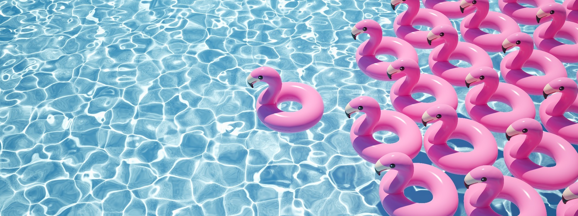 A pool of clear, blue water, with over 10 flamingo floats floating on top.
